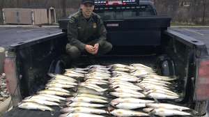 Michigan DNR conservation officer Jaime Salisbury 80 fish Detroit River Photo Michigan DNR