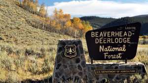 Beaverhead Deerlodge National Forest USFS Northern Region CC BY 2 181003 155224