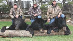 Spring black bear hunting Bernie Barringer