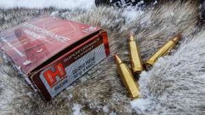 V Max Hornady bullet for coyotes copyright Mark Kayser