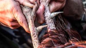 Screen Shot 2019 02 28 at 3 17 57 PM