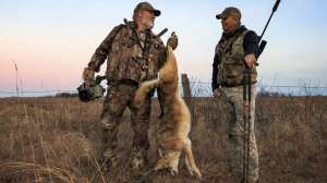 Foxpro hunting in Pennsylvania and Kansas