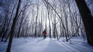 Screen Shot 2019 02 26 at 5 44 11 PM