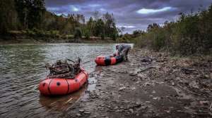 Nocturnal pressured deer
