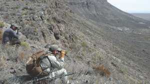 Predator Hunting and glassing out west Photo by Wayne van Zwoll