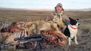 Carcasses for Coyotes Photo by Mark Kayser