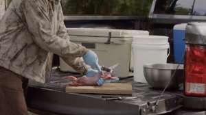 Rabbit Processing 101