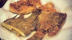 Screen Shot 2018 12 04 at 12 03 21 PM