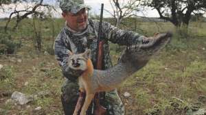 Gray Fox Fenson 4 181203 143307