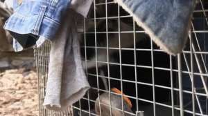 Screen Shot 2015 12 04 at 11 07 42 AM