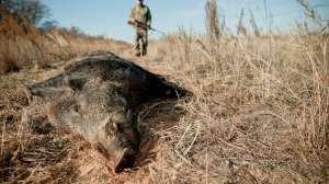 John hafner archive 10305