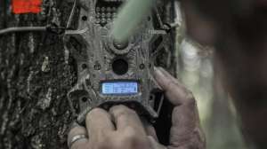 22279954 10155369305394270 2551432482216194230 n