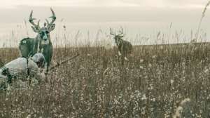 Screen Shot 2018 10 08 at 4 53 19 PM