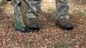 Screen Shot 2018 09 06 at 5 28 41 PM