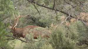 Screen Shot 2018 08 29 at 12 13 04 PM