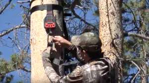 Screen Shot 2018 08 28 at 11 34 16 AM