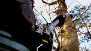 Screen Shot 2018 08 27 at 10 41 12 AM