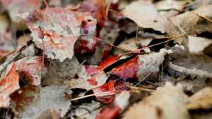 John hafner 158 181003 155931