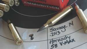 Bullets and Gravity Wayne Van Zwoll 4