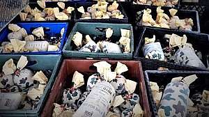 Michigan venison e1529974536691