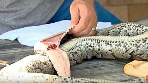 Screen Shot 2018 06 20 at 1 22 00 PM e1529518891485