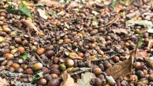 Screen Shot 2018 06 19 at 10 42 00 AM e1529423217313