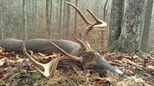 GAME CAMERA FUNDAMENTALS IMAGE 5