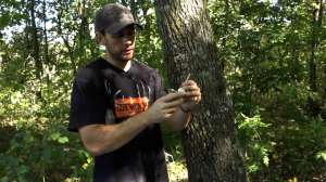 DIY Trail Camera Mount