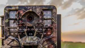 Screen Shot 2018 06 11 at 5 41 10 PM