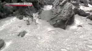 Japan Bear Print from NHK