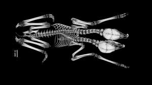 Screen Shot 2018 05 10 at 11 45 16 AM