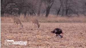 Screen Shot 2018 04 16 at 2 26 59 PM