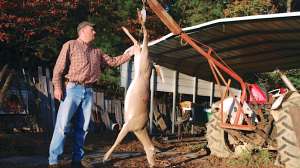 Screen Shot 2018 04 23 at 5 17 46 PM