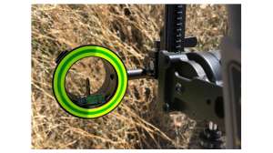 Spot Hogg Hogg Father