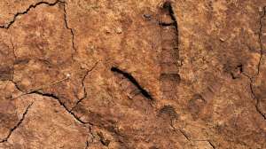 John hafner archive 09419