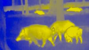 Screen Shot 2018 02 15 at 3 48 29 PM