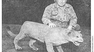 Mountain Lion last one killed USFWS photo