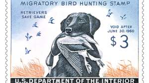 Screen Shot 2017 09 26 at 7 55 57 AM 181003 155734