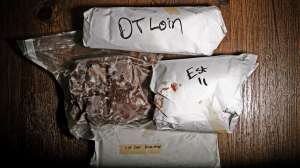 John hafner 7635 181003 155445