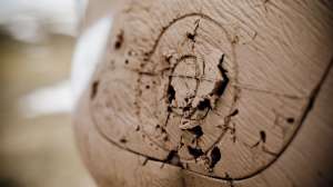 John hafner archive 21562