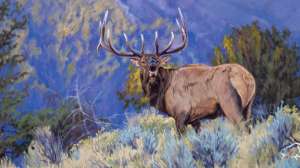 Ryan Kirby Elk The Defender 30x20