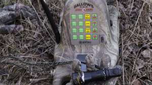 MG 4041 Using an electronic caller and a hand call together copyright Mark Kayser