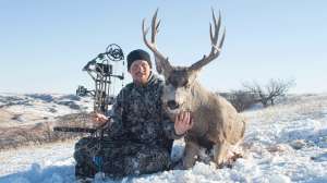Mule Deer 15