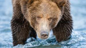 I Stock 41015944 LARGE