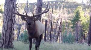 Screen Shot 2016 10 27 at 8 31 12 AM