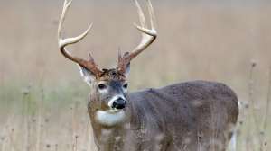 I Stock 20647686 XLARGE