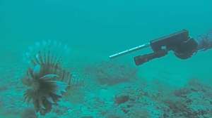 Screen Shot 2016 10 10 at 2 29 20 PM