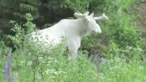 Screen Shot 2016 10 06 at 12 50 19 PM