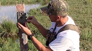 Screen Shot 2016 08 12 at 12 23 09 AM