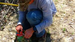 Image3 e1464018218389